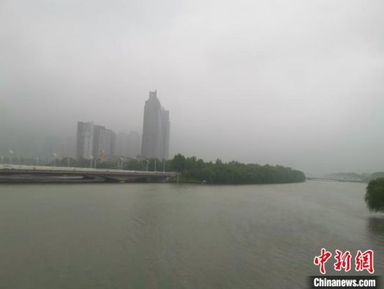 图为郑州市内河水位暴涨。　李明明 摄