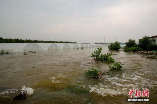 　资料图：暴雨后的河南安阳。 中新社记者 　张畅 摄