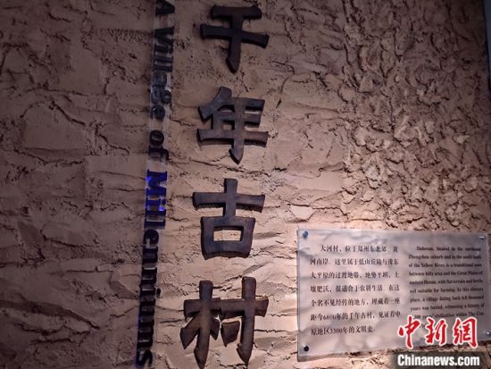 　大河村遗址博物馆。中新网记者 陈海峰 摄