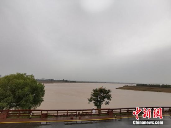 郑州黄河滩地公园 中新网记者 张尼 摄