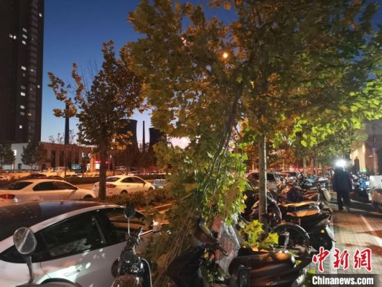 　图为郑州市一主干道人行道旁一棵树树枝被大风刮断。　李贵刚 摄