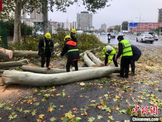 图郑州市交警一大队民警等人清理倾倒的树木。　郑州市交警一大队供图