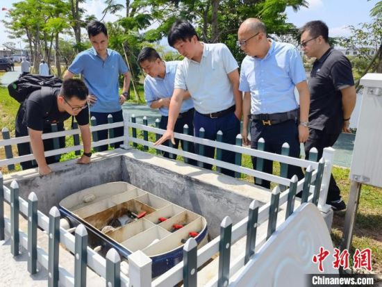 2021年5月，王文昭(右三)和团队在深圳大鹏新区农科所查看公司设备运行情况。　受访者供图
