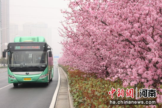 3月14日，�州市一�v80路公交��摹盎�Α迸越��^。石清峰 �z