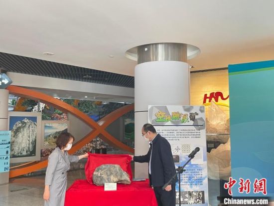 世界地球日，河南自然博物馆获赠空铁黝银矿矿物标本。　宋云慧 摄