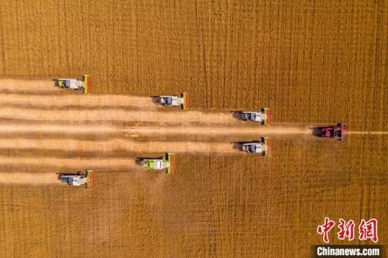图为河南省西平县高标准农田麦收场景。(资料图) 赵永涛 摄