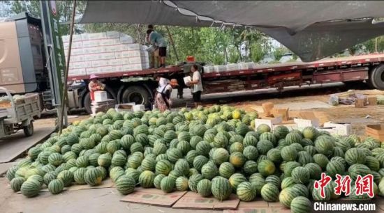 河南商丘夏邑县的西瓜装车即将发往外地。闫奥博 摄