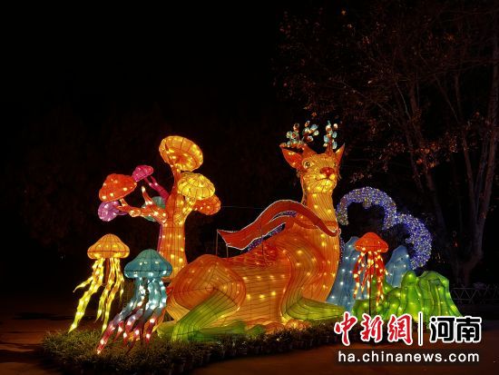 洛阳王城公园里的大型花灯。张晶晶 摄