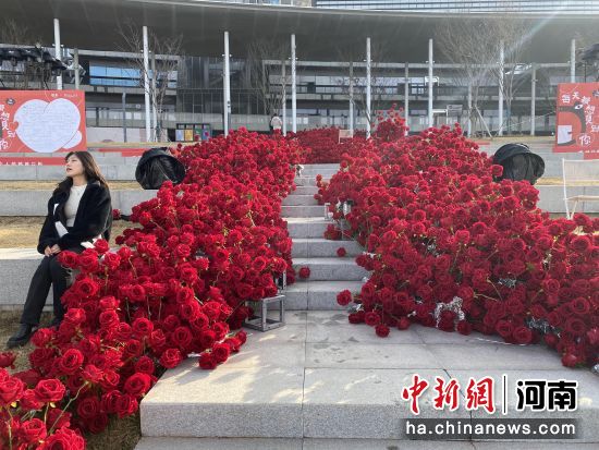 �州街�^�O置巨型玫瑰花瀑布迎接情人�。 范�院� �z