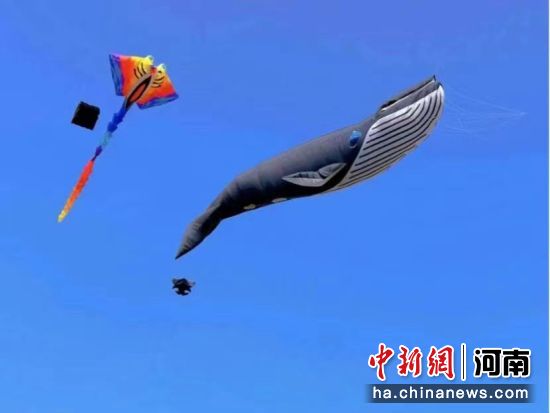 图为西姜寨上空飘扬的风筝。赵铁聚 摄
