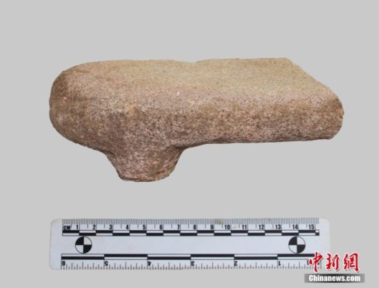 �D�楹幽习碴�八里�f�z址出土的石磨�P。安�市文物考古研究所 供�D
