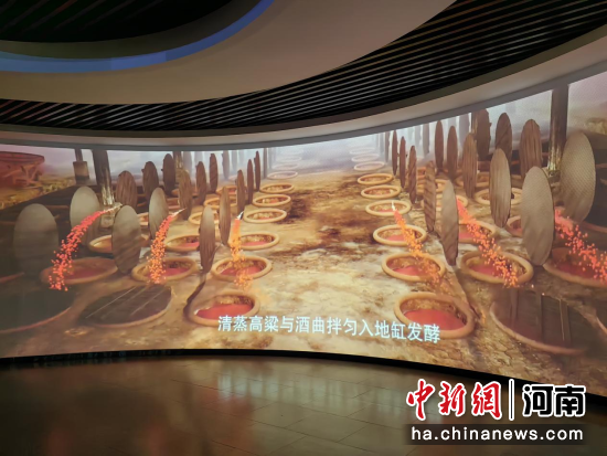 图为宝丰酒文化博物馆展厅。中新网记者 刘鹏 摄