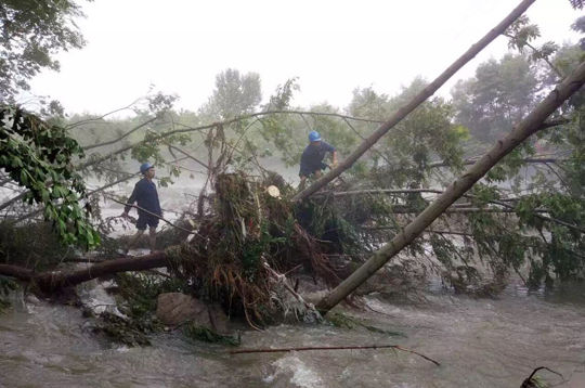 河南新县强降雨致局部山洪暴发 供电公司启动